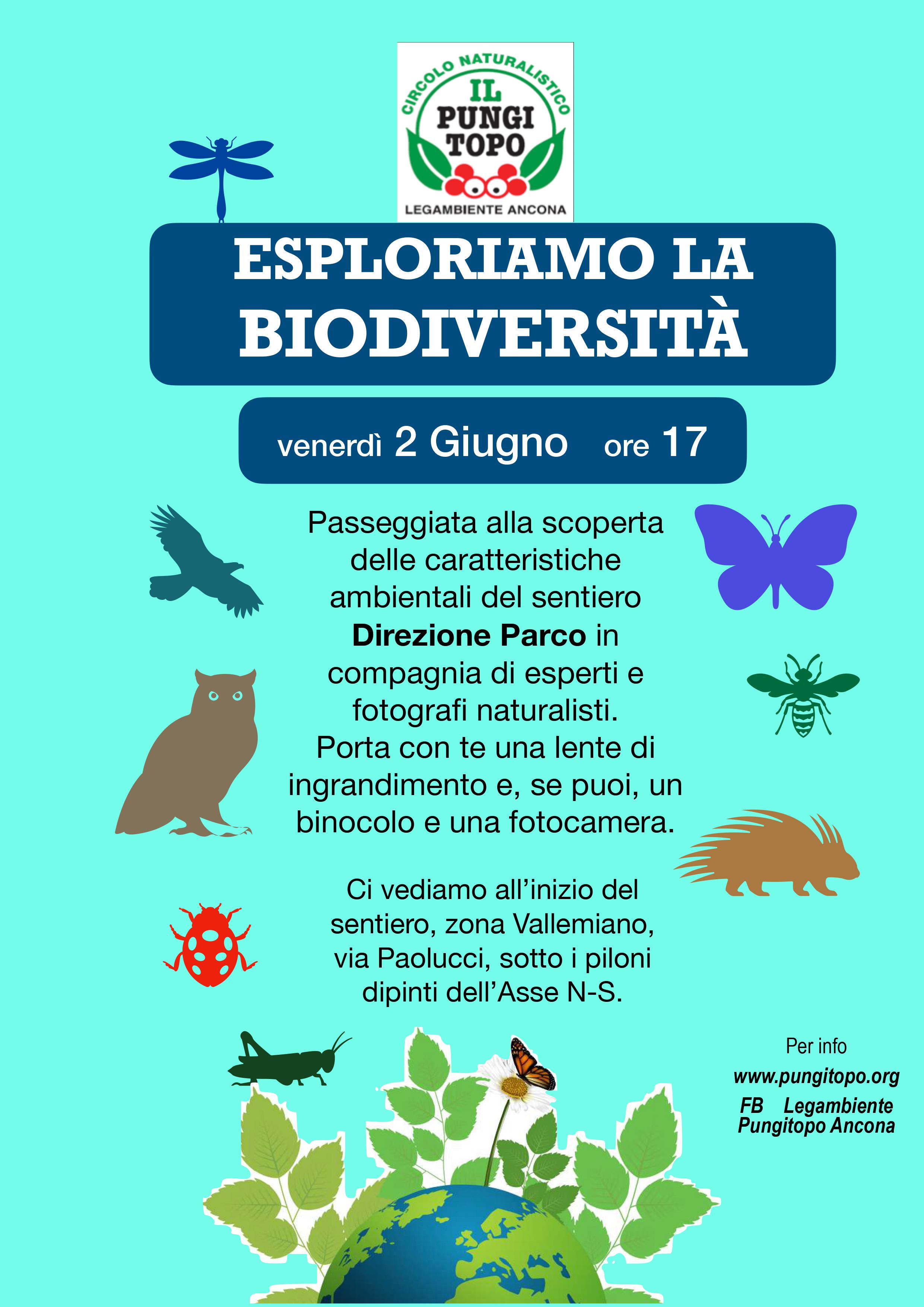 2 giugno insetti e biodiversità con Marco Bondini