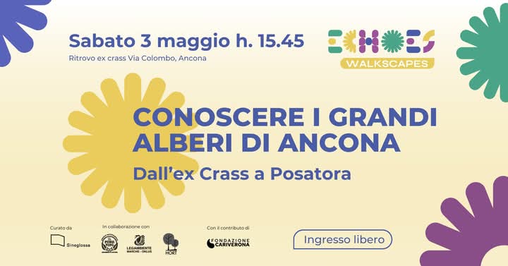 3 maggio 2025 volantino echoes
