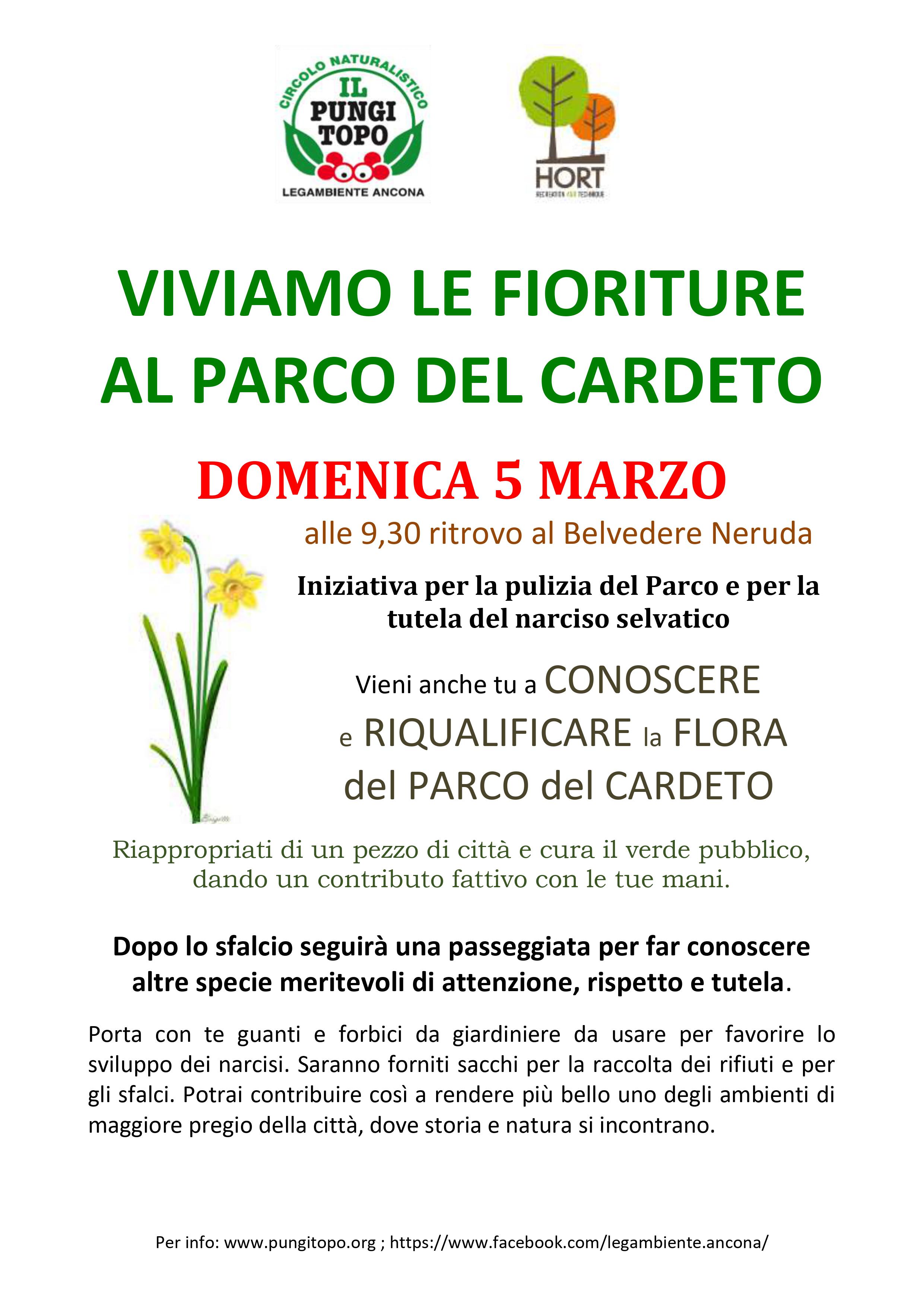 5 mar 2023 Cardeto narcisi DEF