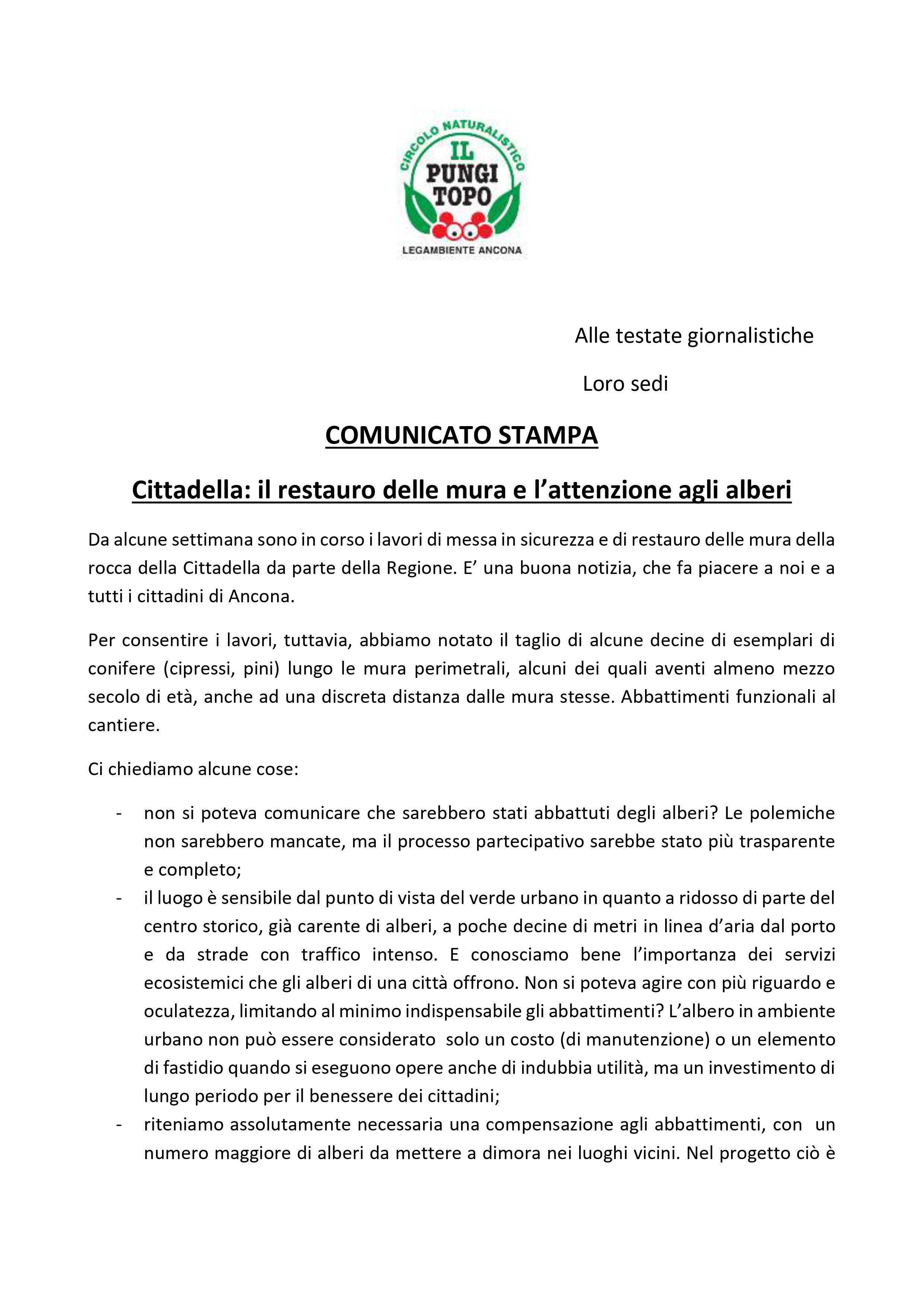 Cittadella alberi comunicato stampa Pungitopo 8 marzo 2024 immagini 1