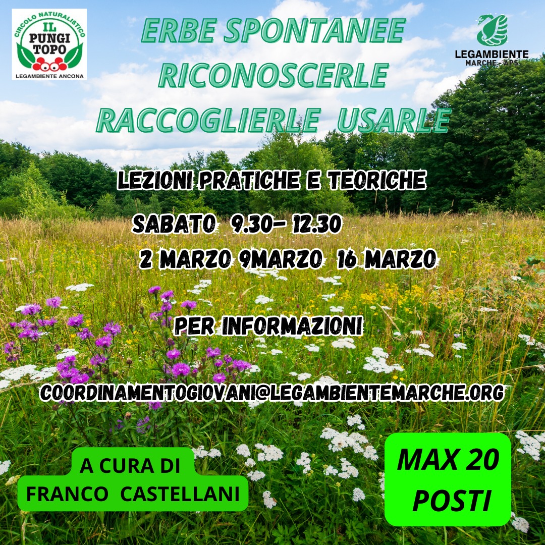 Corso erbe spontanee marzo 2024