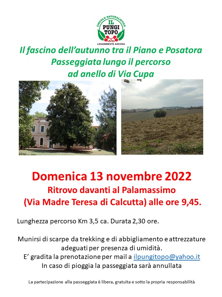 Cupa di Posatora Domenica 13 novembre 2022 r