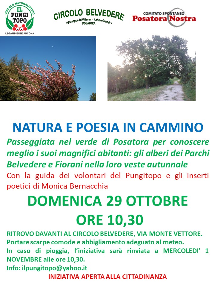 Gli alberi di Posatora