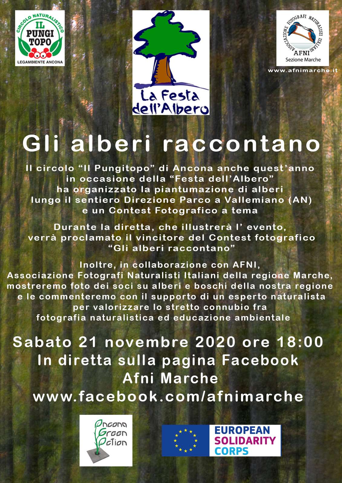 Gli alberi raccontano per sito