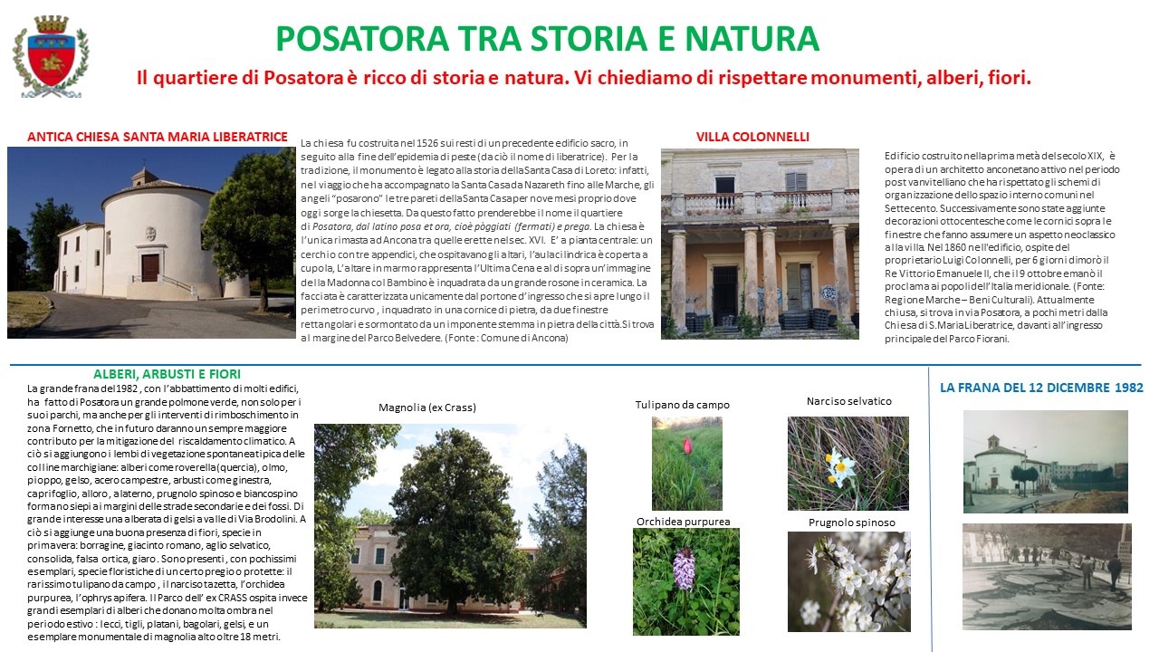 Tabellone Cupa di Posatora Storia e Natura