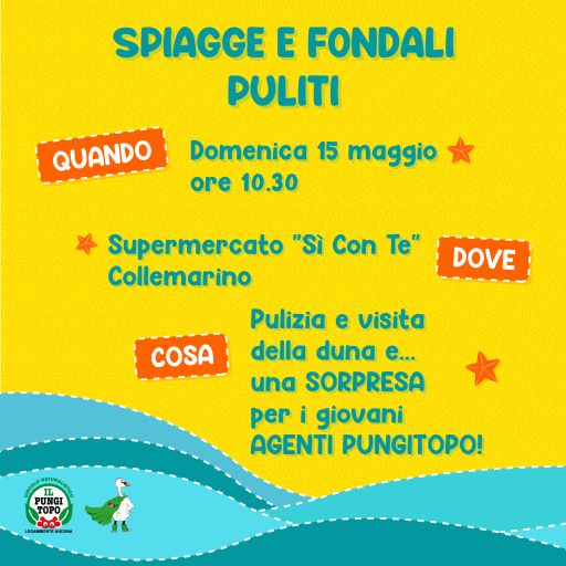 Volantino Spiagge e fondali puliti per sito