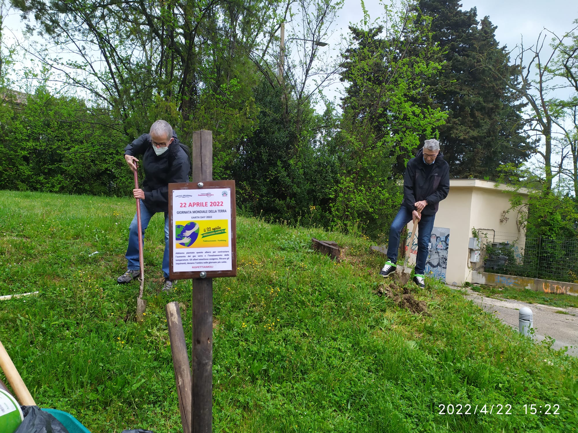 earth day tiglio in piantumazione posatora