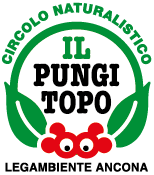 logo pungitopo