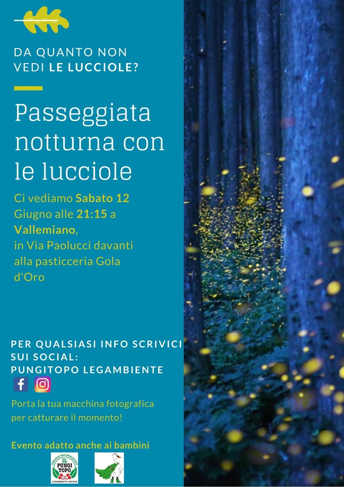 luccioled