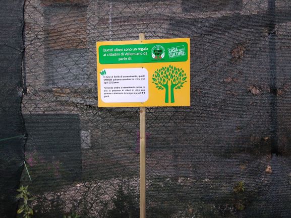 parcheggio cdc tabella carrubi