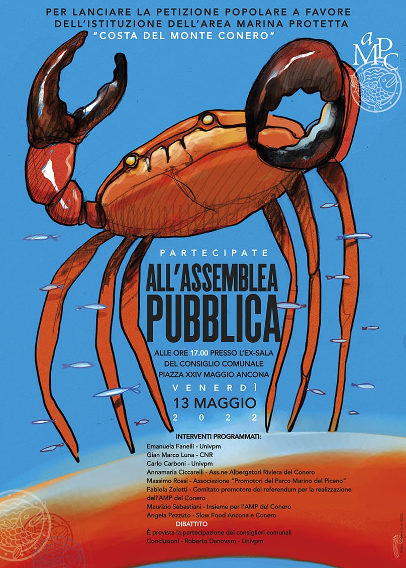 AMP Assemblea pubblica 13 maggio 2022