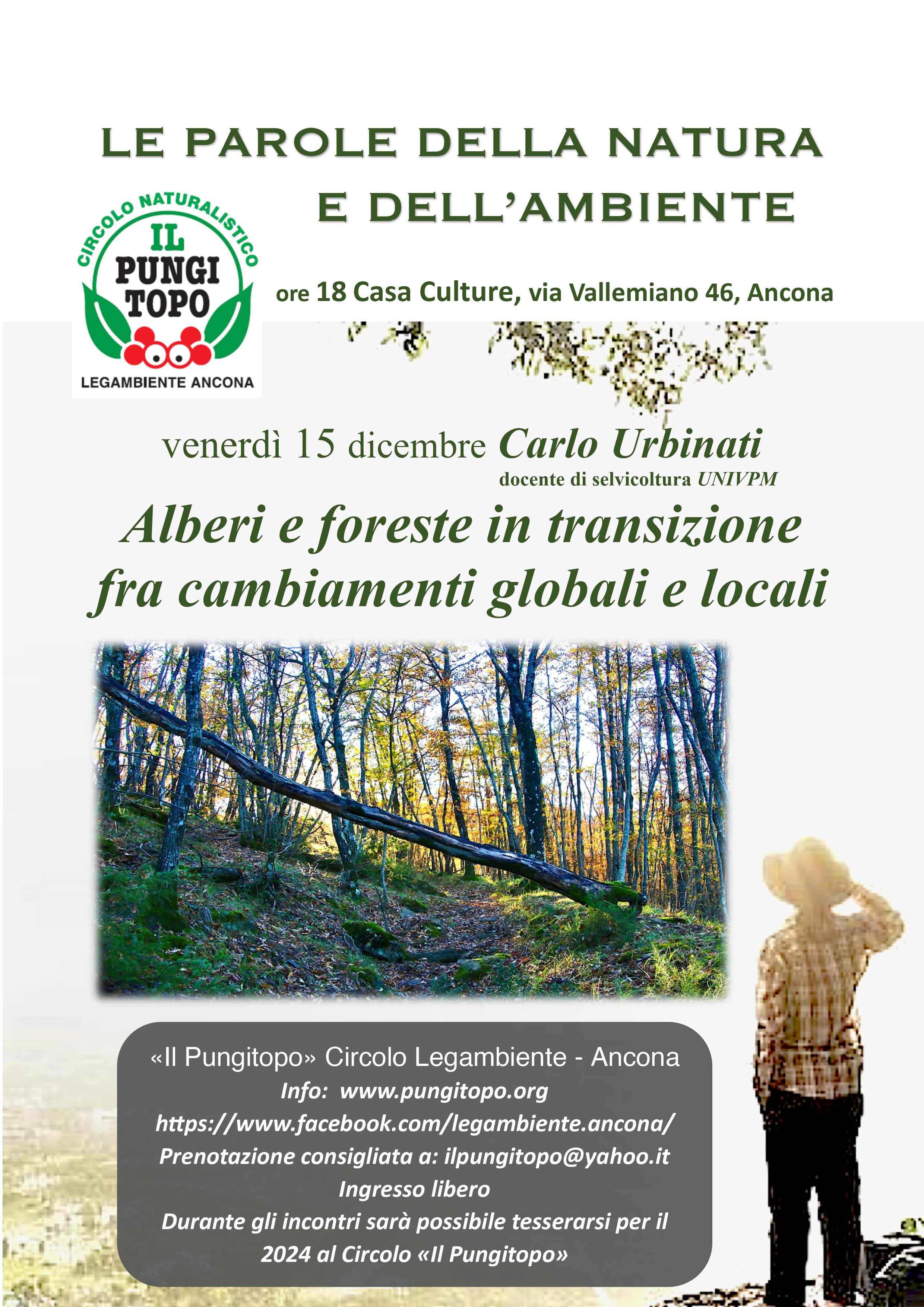 Urbinati15dic2023