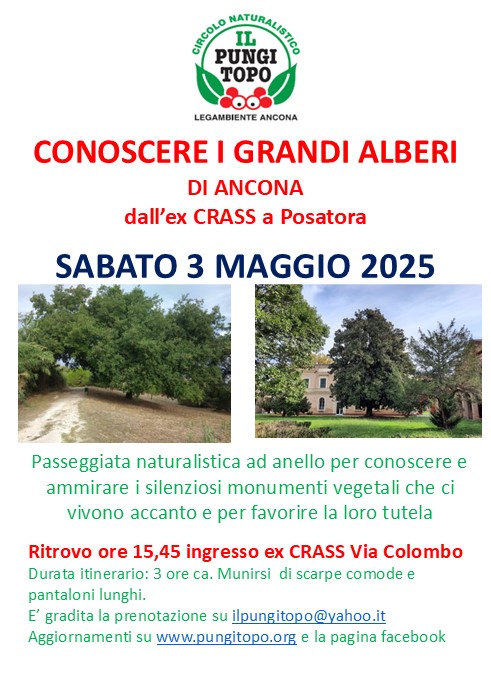 3 maggio 2025 volantino alberi da Crass a Posatora passeggiata