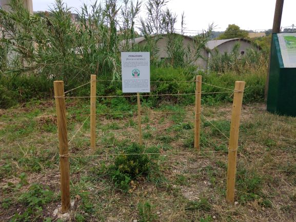 direzione parco tabella 40 anni pungitopo