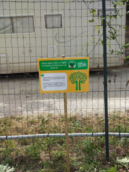 parcheggio cdc tabella aceri campestri